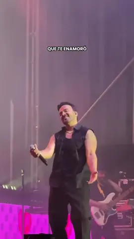 Échame la culpa… por lo bien que la pasamos en cada show de #25AñosTour 🔥 #LuisFonsi #DeGiraConTikTok #Clasicos #EchameLaCulpa 