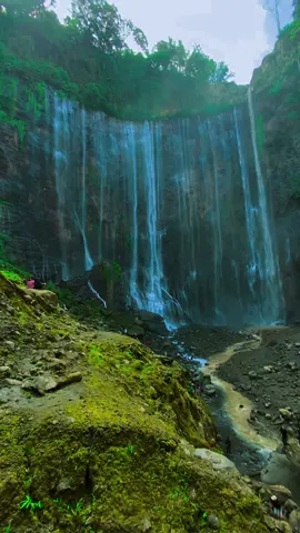 Masyallah🥹🫶🏻#airterjuntumpaksewu #tumpaksewuwaterfall #tumpaksewu #tumpaksewulumajang #lumajang #jawatimurhits #wonderfulindonesia #explorelumajang #explorelumajang #explorejawatimur #pesonaindonesia 