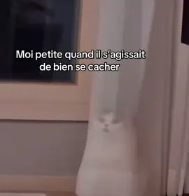 #pourtoi #humour #drole 