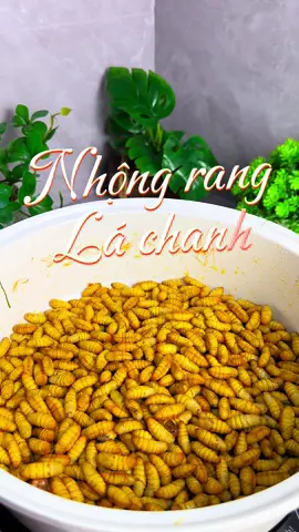 Nhộng rang lá chanh ăn nhanh kẻo hết cơm các bác ơi, mà con nhộng bé bé này chỗ các bác bán bao nhiêu chứ chỗ em đắt ngang thịt bò luôn á #HảoThíchVàoBếp #mỗingàymộtmónngon #nấuăncùngtiktok #cooking #vàobếpmỗingày #cơmnhà #nhộngrangláchanh