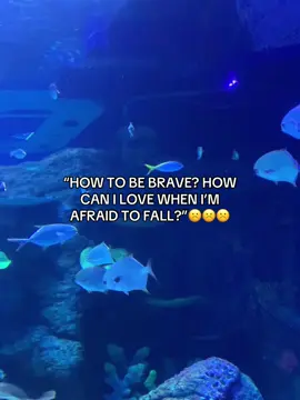 #thousandyears #christinaperri 