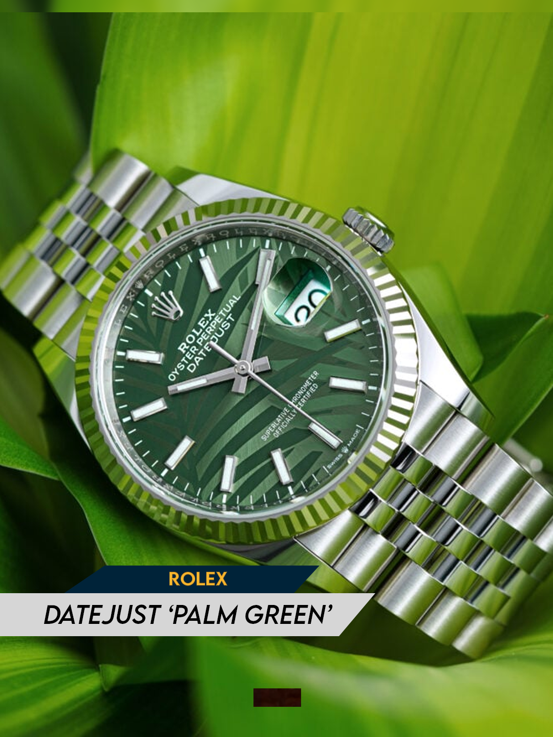 Boss doggie naging collector na! Tara tignan natin ano nanaman ang kukunin nya. Let's go!! @Akosi Dogie  #hayb #parenghayb #parengchollo #parengG #luxurylife #luxurywatch #luxurycars #watch #fyp #swissmade #business  #gentrytimepieces #rolex #datejust #palmgreen #green #palm #bossdogs