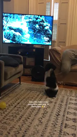 My puppy is the sweetest girl when she wants to be lol #puppy #dogmom #puppytiktok #dogsoftiktok 