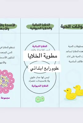مطوية الخلايا علوم رابع ابتدائي  #مطويات #مطويات_مدرسية #رابع_ابتدائي 