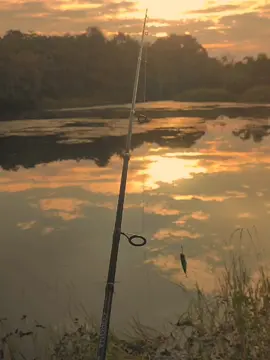 Ketua Boncos, hanya senja yang di dapatkan 🤣 #mancing #mancingmania #senja #senjasorehari #fyp #fypシ #trending 
