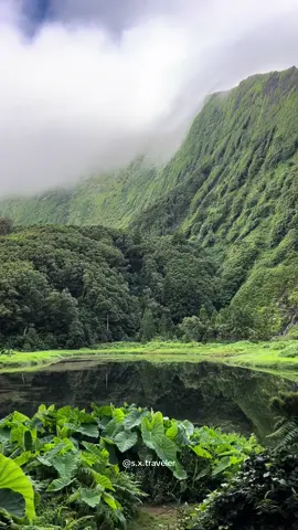 Hidden deep on Flores Island (Azores Archipelago), Poço da Ribeira do Ferreiro (or Poço da Alagoinha) is a true natural gem! 🌟  Just outside the village of Fajãzinha, this spot showcases waterfalls cascading down cliffs from about 200 meters (656 feet) into a dark, mystical lagoon. 🖤 In the winter and spring months, you might see up to 20 waterfalls here, fed by the Ribeira do Ferreiro stream and other springs. Surrounded by lush ferns and vibrant plants, it feels like a fairytale come to life. 🌿🌊 For those seeking a breathtaking blend of wild nature and tranquil beauty, this is the place to be. 🌍 💡To see this incredible natural wonder, fly to Flores Island in Portugal.  👉🏼 For easy navigation be sure to check the link in my profile 🔗 for an  INTERACTIVE MAP AND GUIDE TO FLORES ISLAND 🗺️, created especially for independent travelers. 💫 #AzoresLovers #FloresIsland #HiddenGems #WaterfallWonders #Açores #TravelDreams #TravelPlans #TravelGoals2024 #AzoresPortugal #azoresislands #fajãgrande #waterfallphotography #waterfalling #waterfallhike 