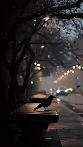 Là người đàn ông ai không có lòng tham..#_ily14th01 #tamtrang #lyrics #nhachaymoingay 