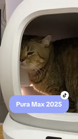 Công nhận toilet cho mèo càng ngày càng xịn 🤔 Máy dọn phân mèo PETKIT Pura Max 2025 từ HELIPET #meocheese #petkit #helipet #helicorp #puramax2025 #maydonphanmeo #mayvesinhchomeo