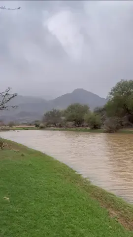 #بادية_الشلالحه #قرى_بني_عبدالله #حركه_الاكسبلورر #ترند_جديد #كومنت_لايك #الحمنه_بادية_الشلالحه #المدينه_المنورة 