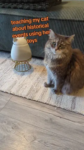 she radiates with such knowledge. #catoftheday #catcore #fypシ゚ #catsoftheworld #catsoftiktok #dogofwisdom #cattok #teachingmycat #smartcat #History #historymemes #education #catmeme #demure 