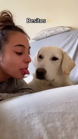 #artofzoo 