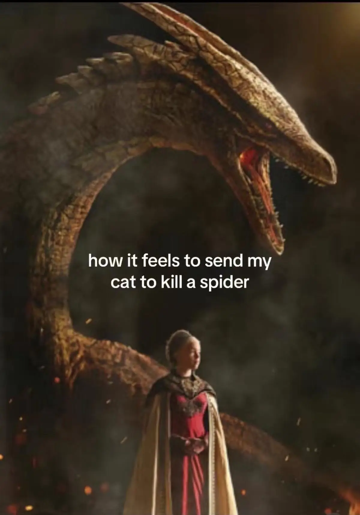#cats 