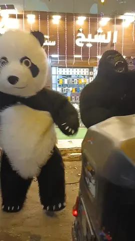 الغوريلا و الباندا ولعو الافتتاح #رعد_🦍🇪🇬 #فنادق #افراح #غوريلا #حفلات #باندا #tiktok #party 