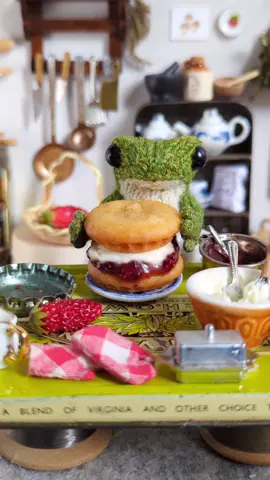 Frog bakes Toad's favourite cake 🍰🍓☀️🐸🐸 #frogandtoad #baking #knittedfrog  #cottagecore 