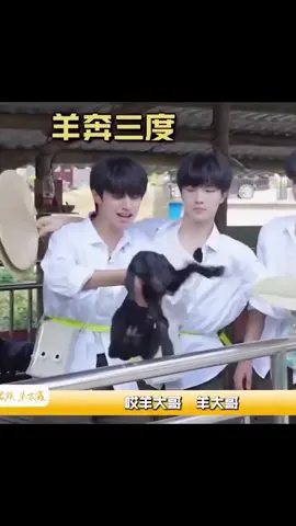 🐐: jangan sentuh aku mass,, aku jijik 😫 #zhuzhixin  #zhuzhixin_朱志鑫  #tffamily_3rd_generation 