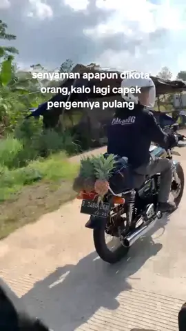 #fyp #fypシ #rxking #rxkingbandung #rxkingindonesia #arhanzize #soundviral 