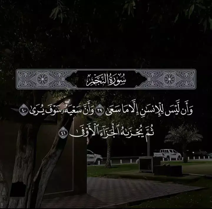 وان ليس للانسان الا ما سعي ♥️#قران #قران_كريم #trending #fyp 