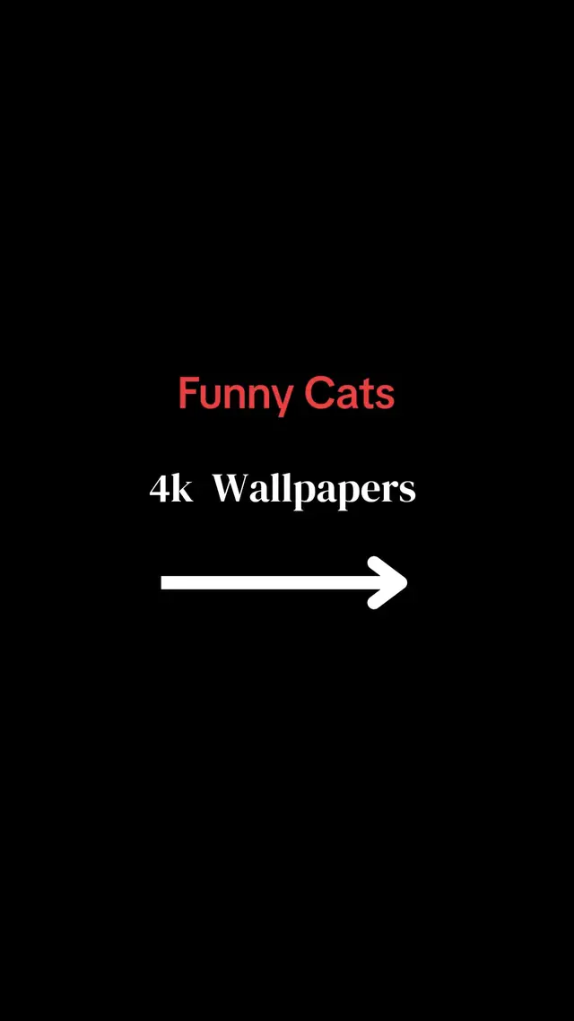 Especially for Cat lovers ❤️😂|4k Wallpapers|#4kwallpaper #wallpapers #tiktok #funny #viral #trending #foryou #fyp #catsoftiktok 