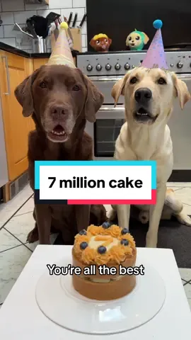 THANK YOU for 7 million 🥹