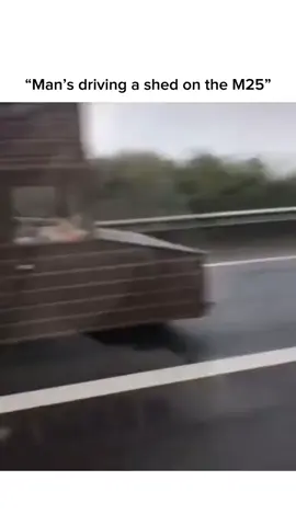 #funnyvideos 