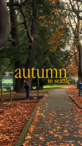 autumn in seattle 🤎🍂  life is slowly starting to feel like this  again and i cannot wait for this season to change. let’s escape these last few weeks of summer with memories of seattle during fall time it’s truly the most beautiful place during this time 🤎 #cozy #cozyvibes #cozyaesthetic #aesthetic #fallvibes #autumnvibes #autumnaesthetic #fallaesthetic #pinterestaesthetic #visualdiary #fall #seattle 