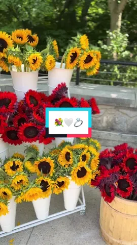 I love being invited to such beautiful events and getting to celebrate love 😭🩷 #bride #bridalshower #bridaltiktok #shower #bridetobe #wedding #flowers #beauty #bridalshowerdecor 