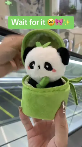 Adorable panda keychain 🎀🫶🏻✨ #kawaii #stuffedanimals #plushies #panda 