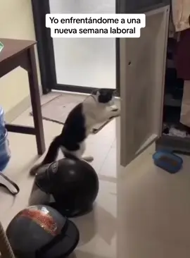 #viral 