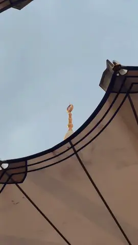 #CapCut#أذان #المسجد_النبوي #صلوا_على_النبي_محمد #من_تصويري #من_تصميمي #قالب_كاب_كات_ترند_تصميمي 