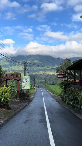 Healing nyari yang ijo