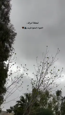 ها قد عاد الشتاء يا حلوة الشتاء أنتي 🍂🍂🕊️🖤❤️ ‏🍂#CapCut #فيروز #فيروزيات_الصباح #فيروز_وفنجان_قهوة #قهوه #شتاء #مطر #اليل #مع #هناء #دمشق_الياسمين #ياسمين_الشام #دمشق_القديمة #CapCutVelocity #الندم #🖤tiktok☆♡🦋myvideo🌺❤️💗🥰❤️ #Funk #كتاباتي_الخاصة✍🏻 #الندم🖤🥀 #انستغرام #viral #ترند_تيك_توك #ترد#تيك_توك #مشاهير_تيك_توك 