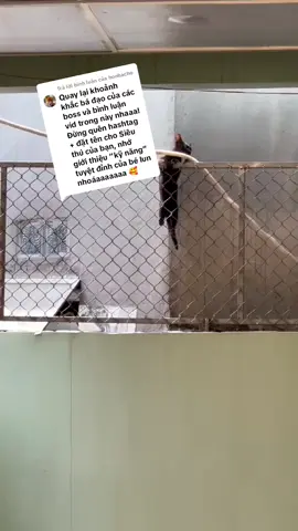 Trả lời @honhacho Đen Bóng Bẩy chuyên leo trèo và trộm cá hàng xóm #lmht #nhapdoisieuthu 