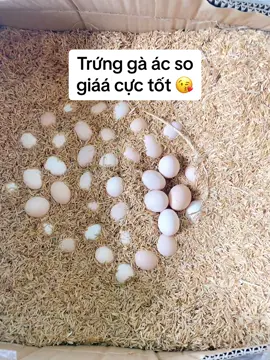 ở đây có đồ ăn ngon nè😘😘#trend #xuhuongtiktok #anvat #binhduongfood 