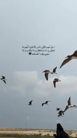 #fypシ゚viral #explore #اكسبلور #fypage #اقتباسات #خواطري_المبعثرة 