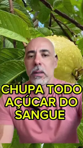 Esse chá vai transformar sua saúde! 🍵💪 Se você está lutando contra o excesso de peso, pré-diabetes ou níveis elevados de açúcar no sangue, essa receita é para você. Simples e poderoso: 3 folhas de goiaba e 1cm de gengibre. 🌿🫚 Esses ingredientes vão ajudar a reduzir o açúcar no sangue, melhorar a sensibilidade à insulina e acelerar o metabolismo! Faça e tome 2 vezes ao dia. Me conta depois os resultados! 👇🔥 #EmagrecimentoSaudável #CháDetox #SaúdeNatural #DicasDeSaúde #ControleDoDiabetes #VidaSaudável #Fitoterapia #QueimeGordura
