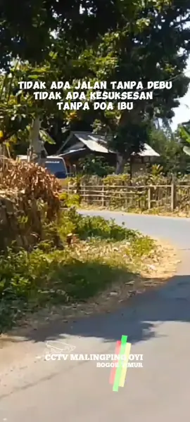 #bismillahfyp #cctvmalingpingoyi #xyzbca @hardian532 