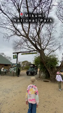 #mikuminationalpark #CapCut #tanzania🇹🇿 #mikuminationalpark🇹🇿 #africa #morogoro #fyp #fypシ #fypシ゚viral #tourism 