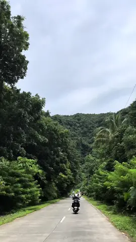 brb, recharging 🍃🔋🍂 #fyp #fypシ #travel #nature #marilaque #roadtrip #tiktok 