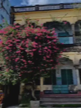 প্রেমিকার রাগ ভাঙানো যদি তোমার কাছে তেল মাখানো মনে হয় তাহলে বাদ দেও,প্রেমিক হওয়ার যোগ্যতা তোমার নেই.!!🙂🌸 #foryou #foryoupage #bdtiktokofficial🇧🇩 #tiktokbangladesh🇧🇩 #backgroundvideo #alpha__takwa #viralvideo @TikTok Bangladesh 