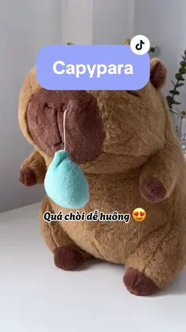 Capybara rút mũi chậm quá chòi cưng gòi 😍 #capybara #capybararutmui #capybaratiktok #gaubongcapybara #gaubongcapybaranuocmui 