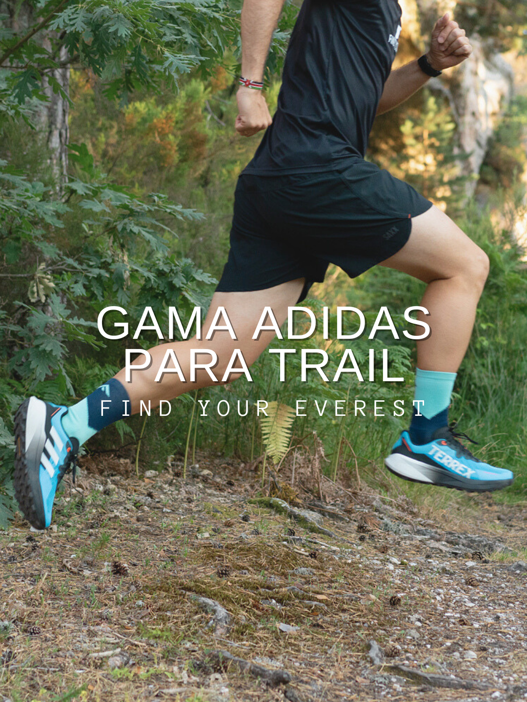 GAMA ADIDAS TRAIL RUNNING💫🔝 Te presentamos los modelos de Adidas Terrex para trail running🙌 Desde las Agravic 3 hasta las Speed Ultra💪👌 Para diferentes tipos de corredores y distancias🏃 ¿Qué os parecen?👇 ✅Disponibles en www.findyoureverest.es o en nuestra tienda física en C/Matemático Pedrayes 21, Oviedo #findyoureverest #fye #trailrunning #trail #trailrun #trailrunner #run #running #runner #montaña #deporte #adidas #terrex #agravic