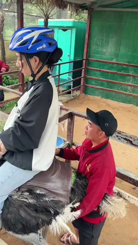 Tích góp cả năm đi Đà Lạt chữa lành mà xem ra là …😂😂#cuoidadieu #vuonthubaton #dalatwonderland #viral #trend #xuhuongtiktok #fyp #fypシ 