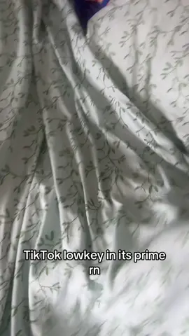 Best era of tiktok icl 😭 glod #viral #xyzbca #fyp #primetiktok #august2024 #august2024tiktok 