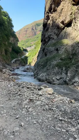 Deli olmagima bir addim qalib 🥀 #guluwum_sen 