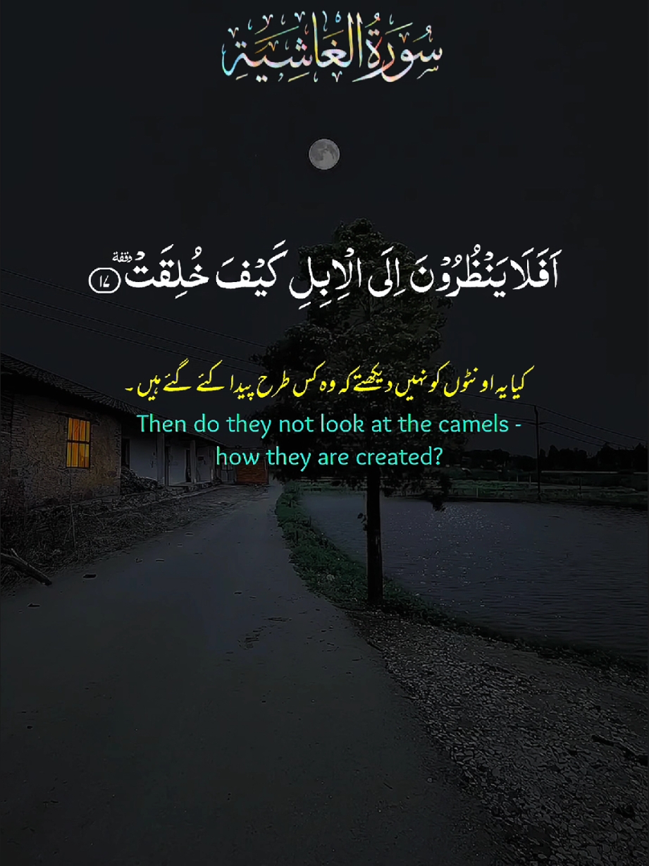 #makkahmadinah🕋 #islamic_video #dua #CapCut #foryou #fouryoupage #viraltiktok #spacial #قران 