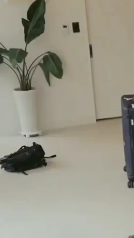 Tolong Make Celana Yang Bener Ya Tet 😅😅😅🤣🤣🤣🙏🙏🙏... #v#jk#areyousure#bts#ngakak#😅 #🤣🤣🤣#fypシ゚viral#fypageシ 