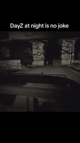 DayZ at night is the scariest experience #fyp#dayZ#viral#gaming#makethisviral# 