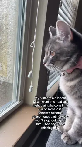 Come pay for her formula since you wanna play daddy so bad 