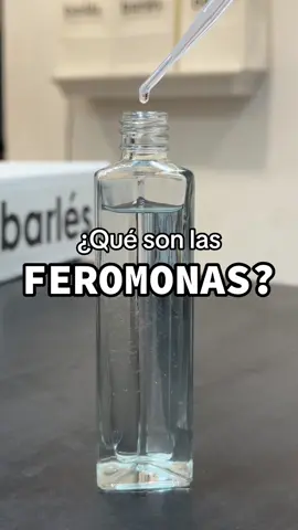 ¿Qué son las feromonas? Muchas personas los utilizan para llamar más la atención y ser más atrayentes, ¿lo sabías? 😱 #perfumesparamujer #perfumesmasculinos #fraganciasfemeninas 
