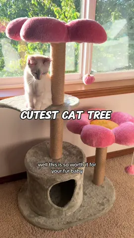 Quick and easy set up too! Only took me ten minutes. @EROMMY has the cutest, well made, high quality, affordable pet products. In 10 minutes I had it all set up.  link to get yours for your fur baby. 😃👏🏼😻💛 . #AD #erommy #erommy_furniture #cattree #flowercattree #scratchingpost #petsupplies #catmom #kittensoftiktok #catlover #cattok #kittentok #petlover #catslovers #tiktokdeals #tiktokmademebuyit #tiktokfindd #capcut  #foryou #cutekitten #cute #Capcut #FYP #CapCut 